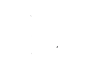 image 2 [Vectorized]
